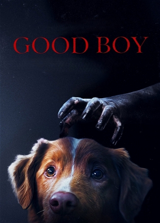 Good Boy